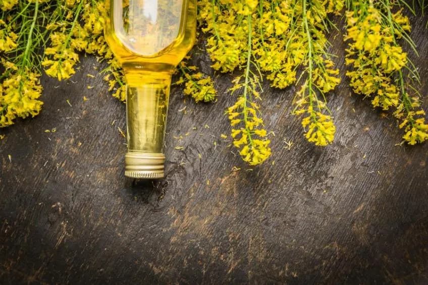 Czy olej rzepakowy to olej roślinny? Odkryj jego właściwości i zastosowanie Czy olej rzepakowy to olej roślinny? Odkryj jego właściwości i zastosowanie