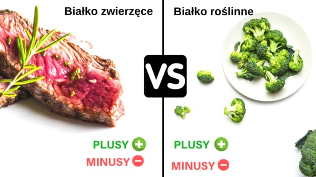 Czy białko roślinne jest pełnowartościowe? Odkryj prawdę o aminokwasach Czy białko roślinne jest pełnowartościowe? Odkryj prawdę o aminokwasach